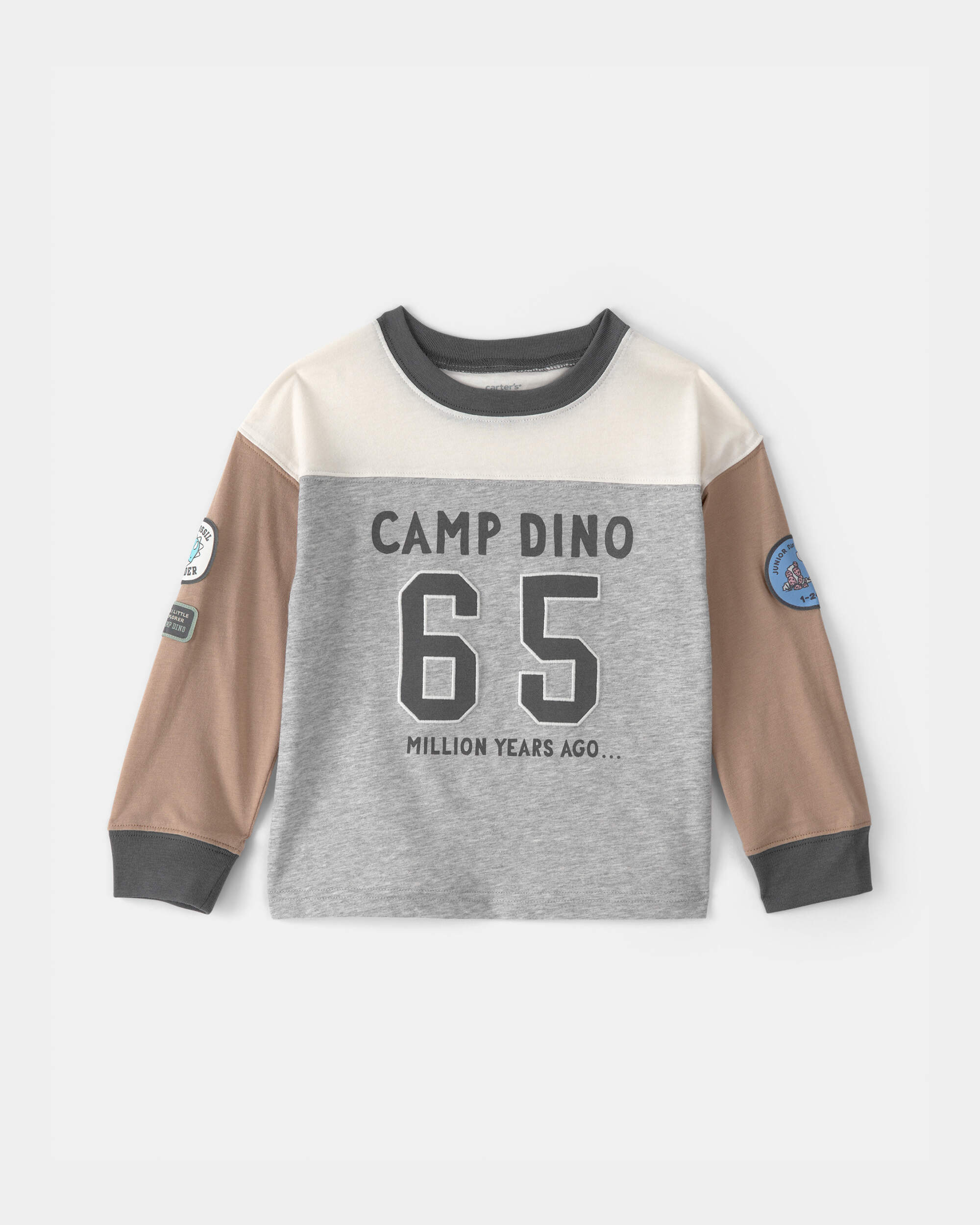 Toddler Boy 'Camp Dino' Long-Sleeve T-Shirt - Brown/Grey