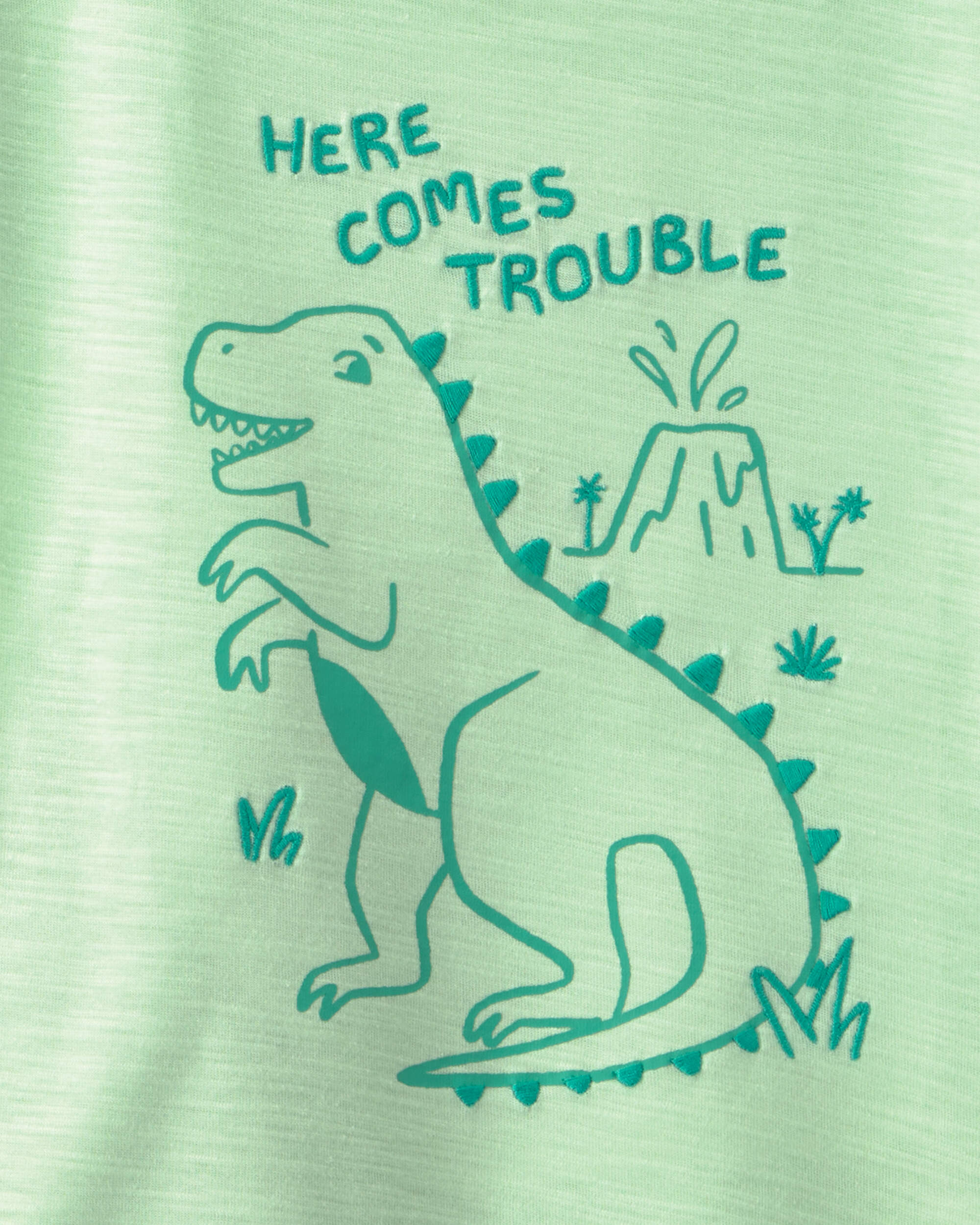 Toddler Boy 2-Piece Dinosaur Top & Short Set - Green