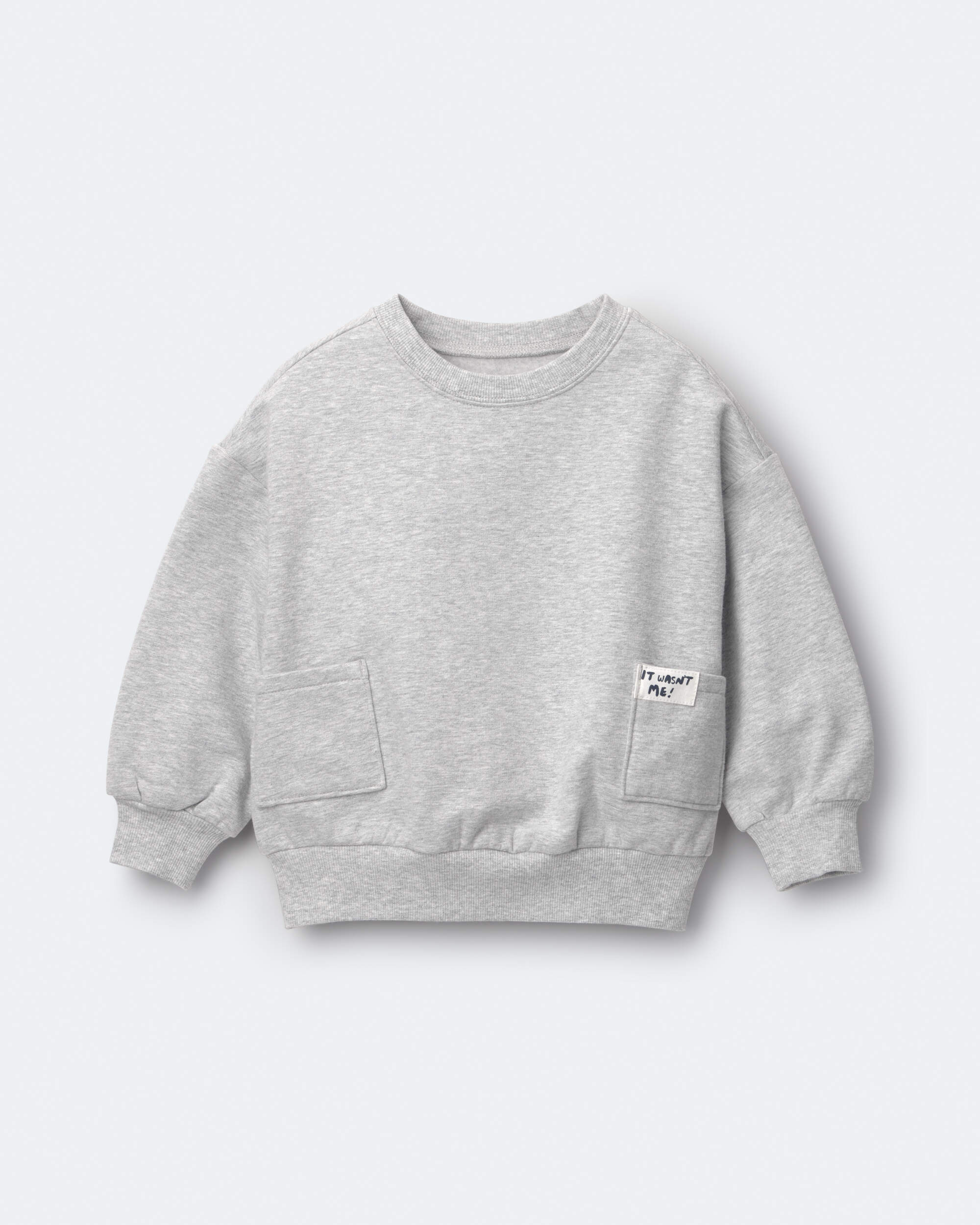 Toddler 'It Wasn't Me!' Otter Sweatshirt™ with Pockets - Heather Grey