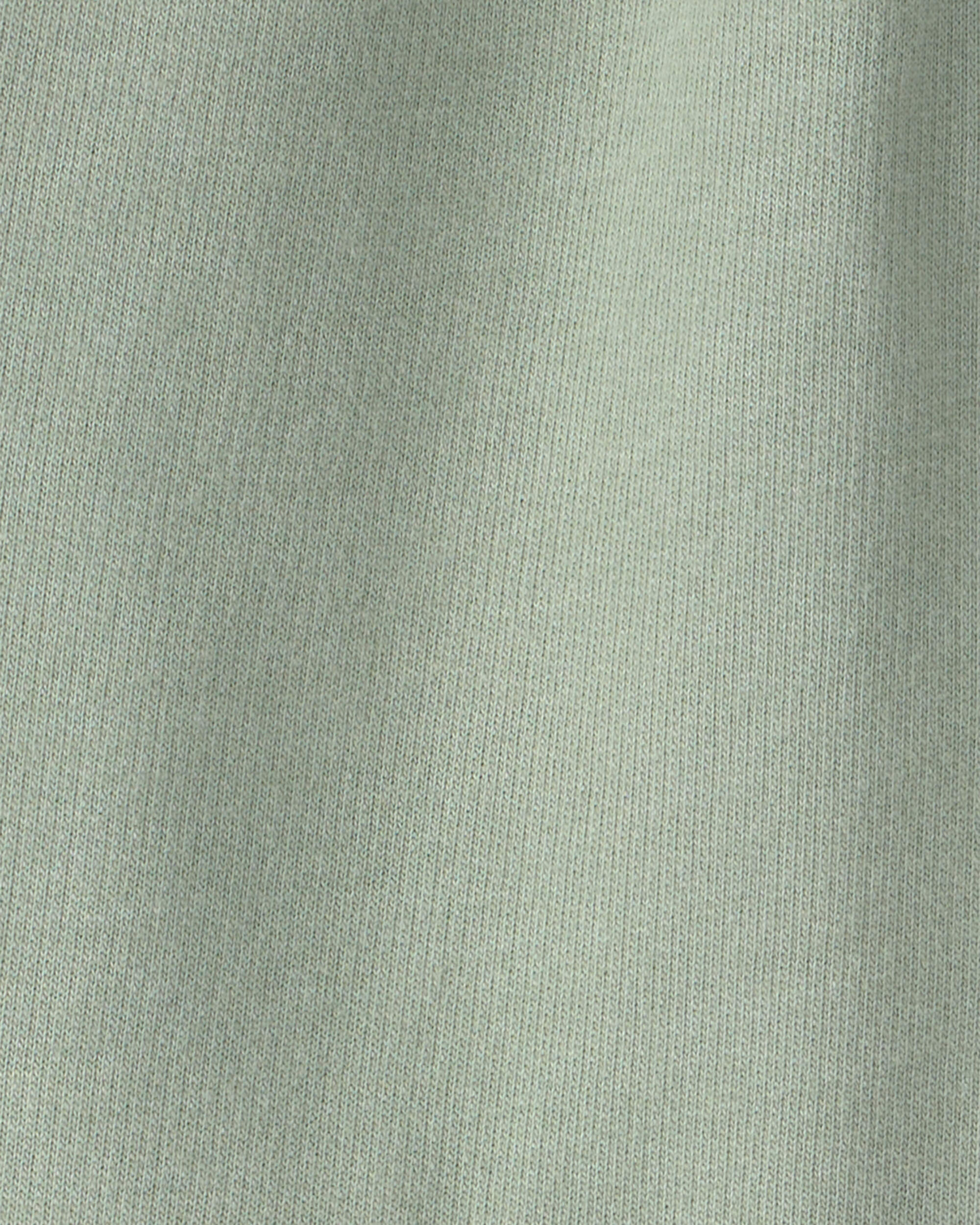 Toddler Boy 'Camp Dino' French Terry Cargo Joggers - Green