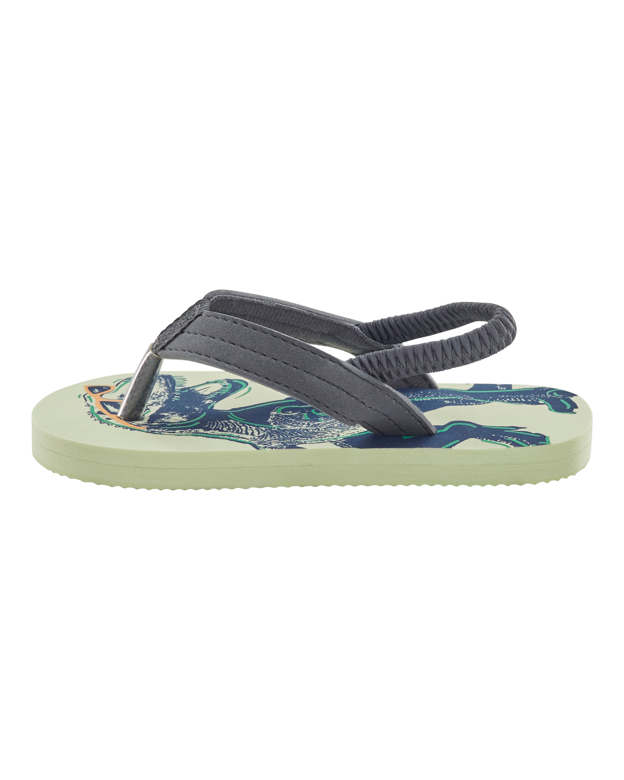 Dinosaur Flip Flops