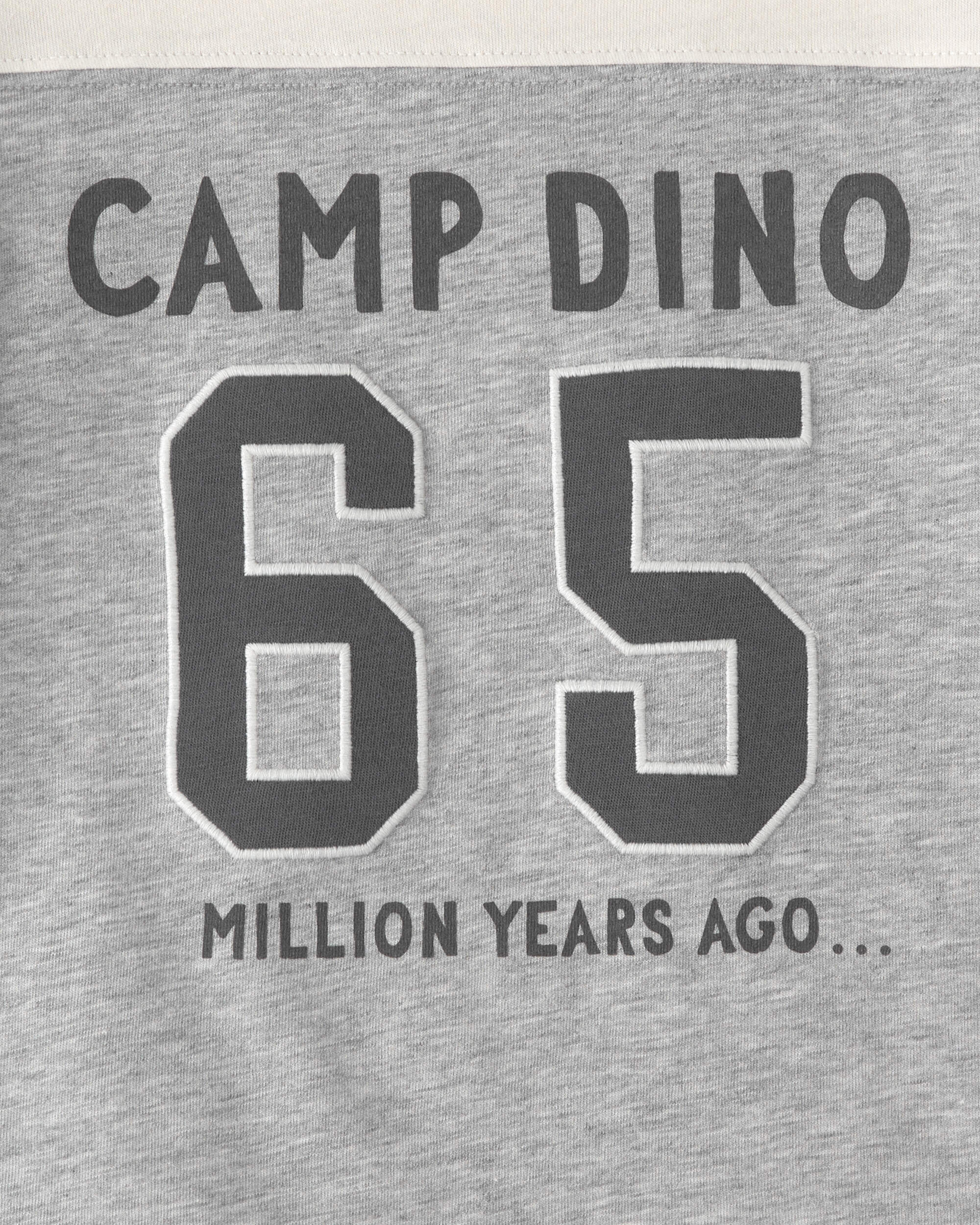Toddler Boy 'Camp Dino' Long-Sleeve T-Shirt - Brown/Grey