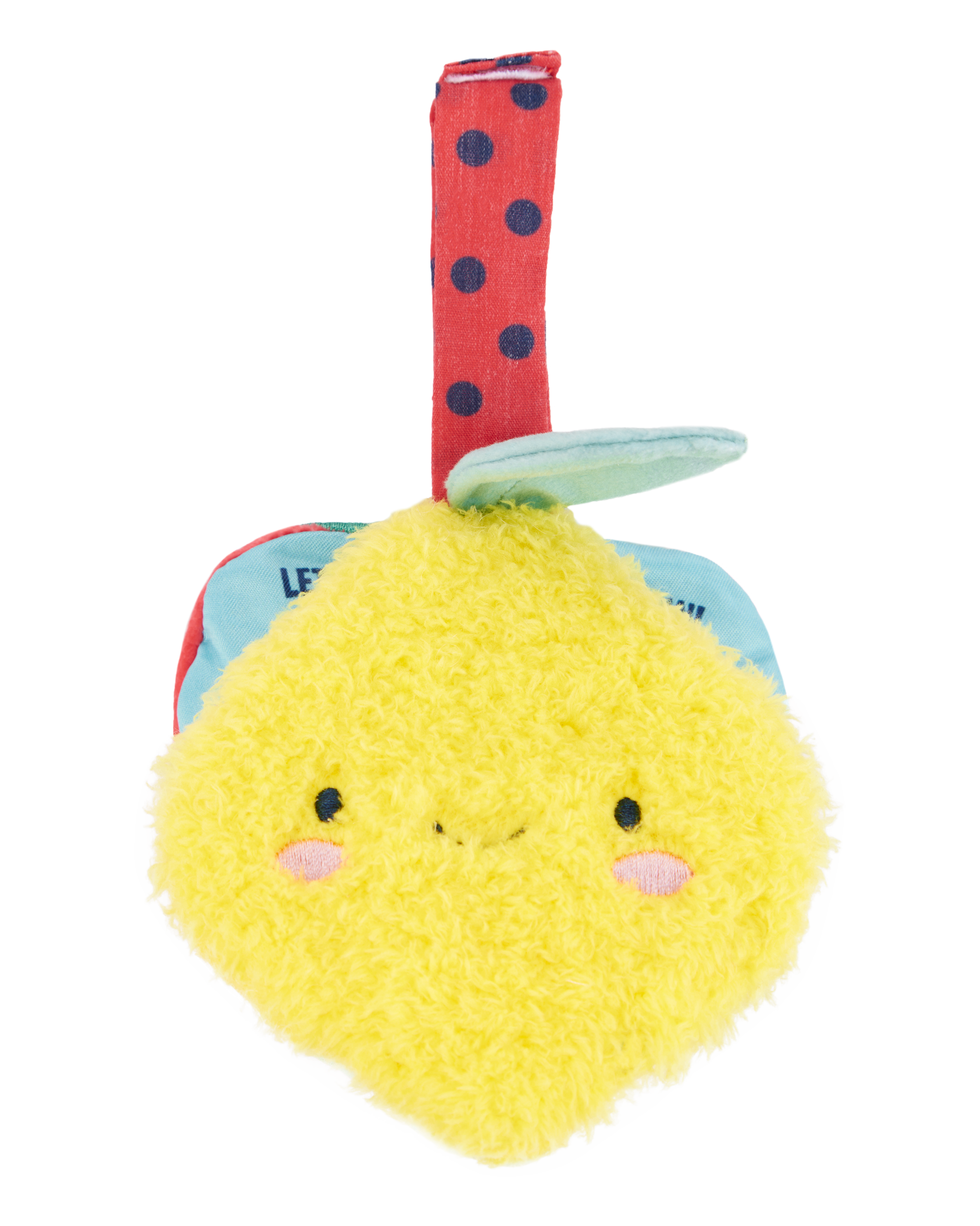 Plush Fruit Soft Book & Teether Set