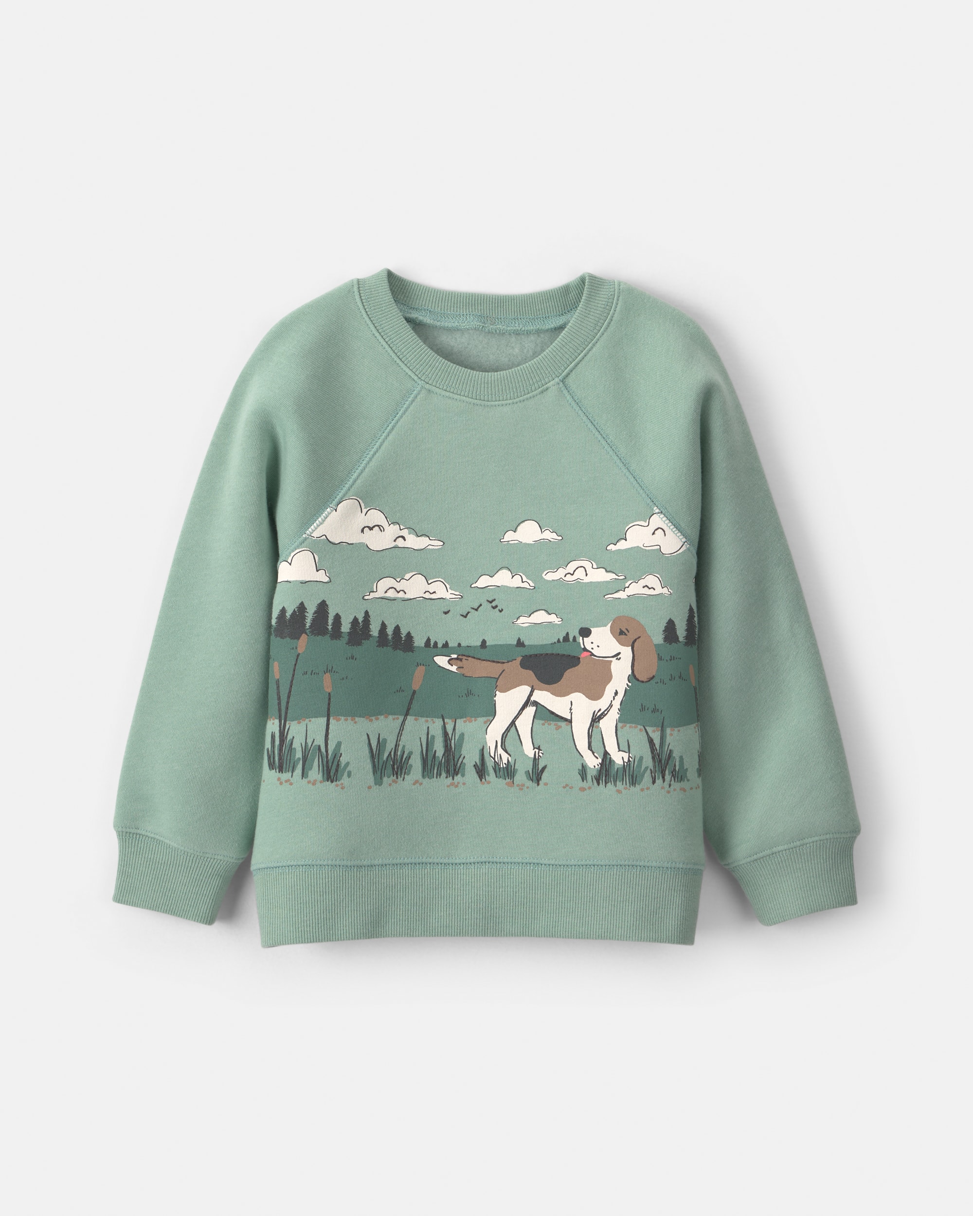 Toddler Boy Dog Fleece Pullover Sweatshirt - Green