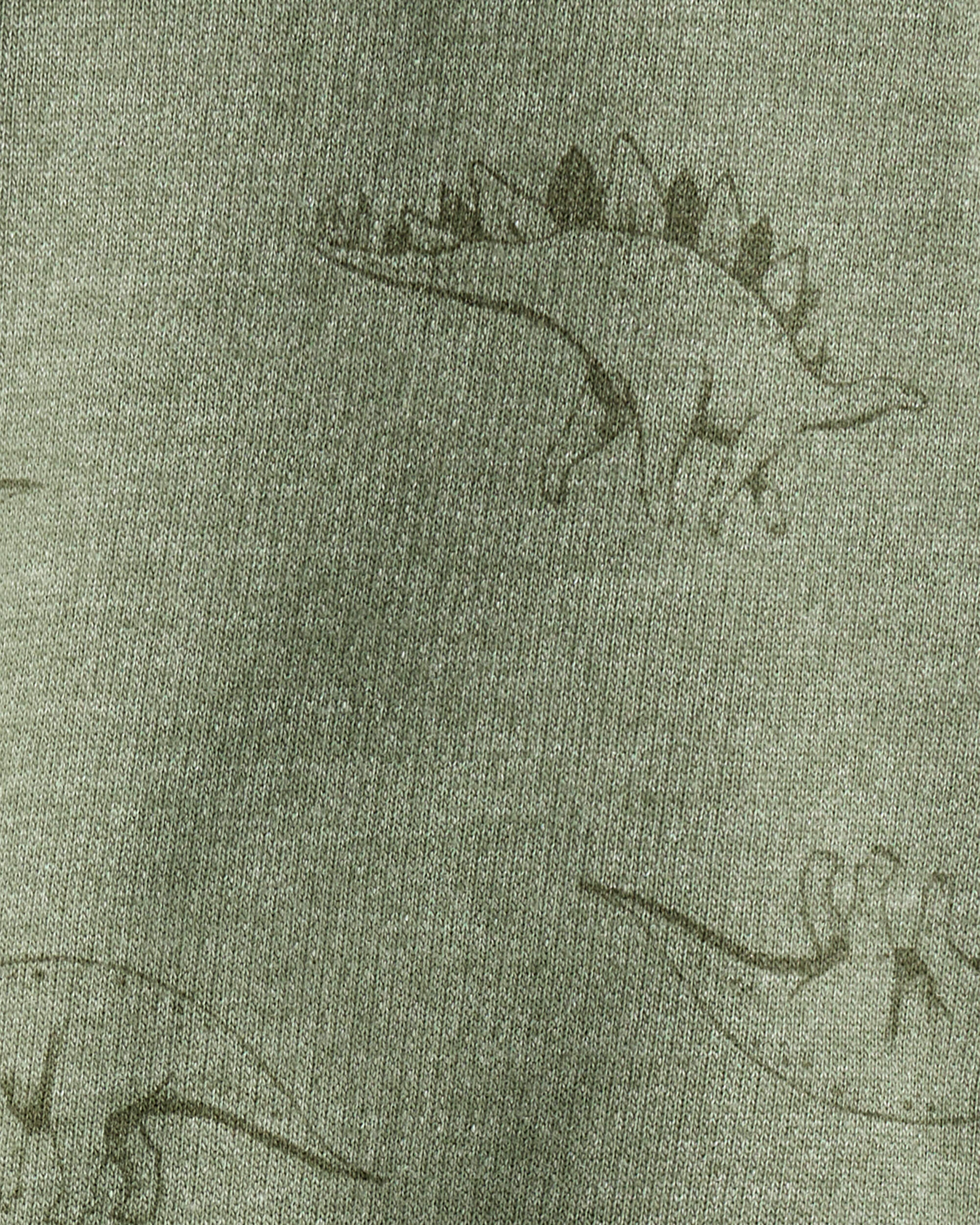 Baby Boy Dinosaur French Terry Jogger - Green