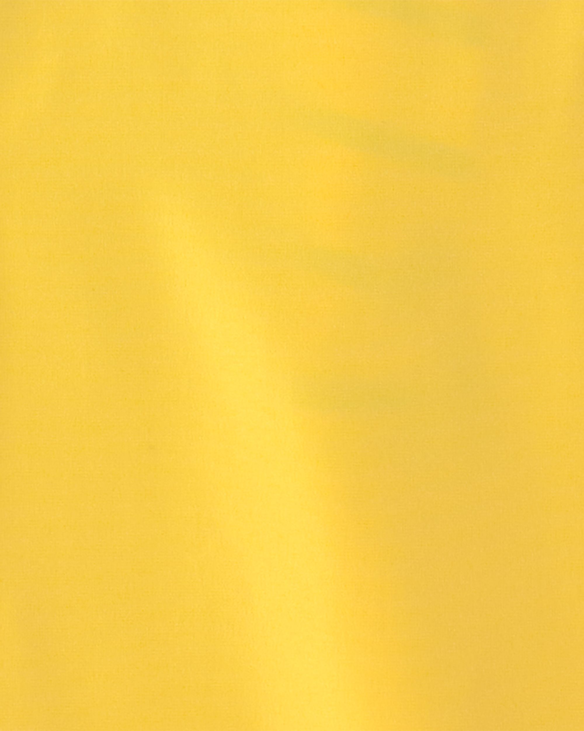 Boys Solid Rain Jacket- Yellow