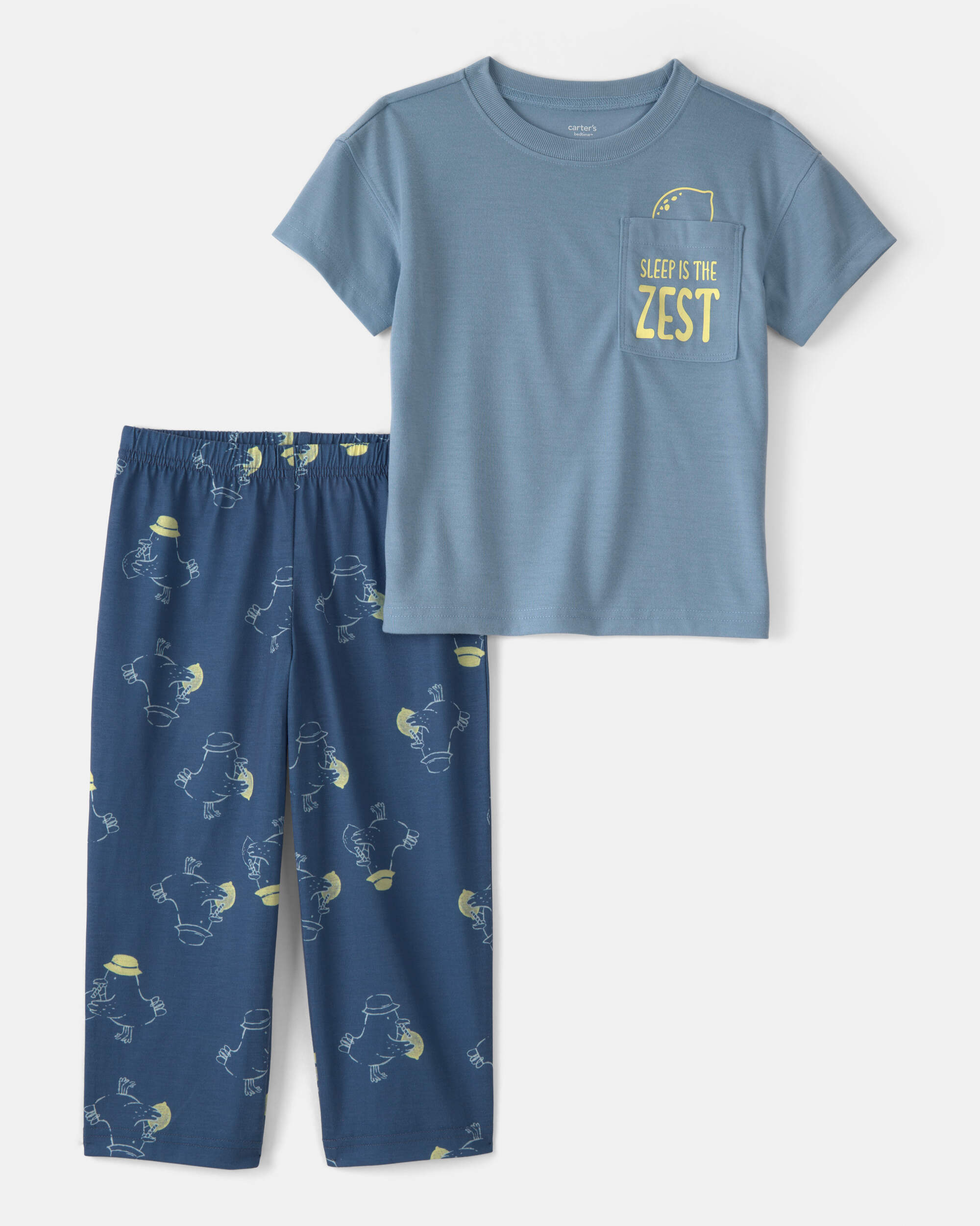 Toddler Boy Bird Loose Fit 2-Piece Pyjama Set - Blue