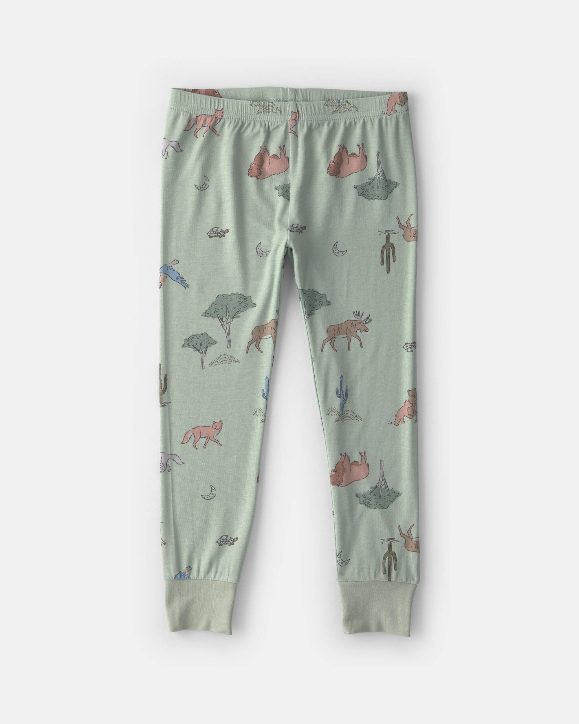 Toddler Boy 2-Piece Desert PurelySoft™ Snug Fit Pyjama Set - Green