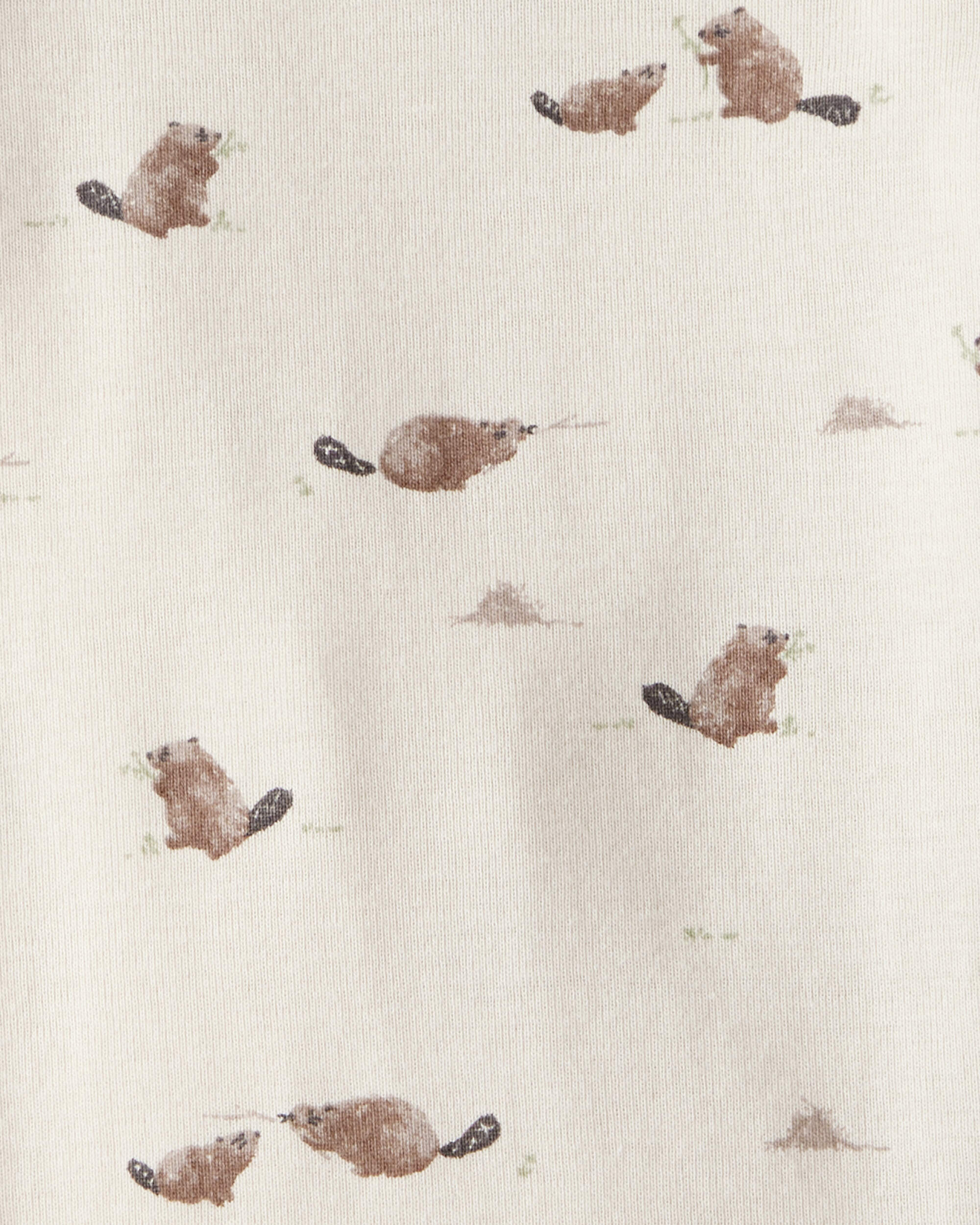 Baby 2-Pack Organic Cotton Bodysuits