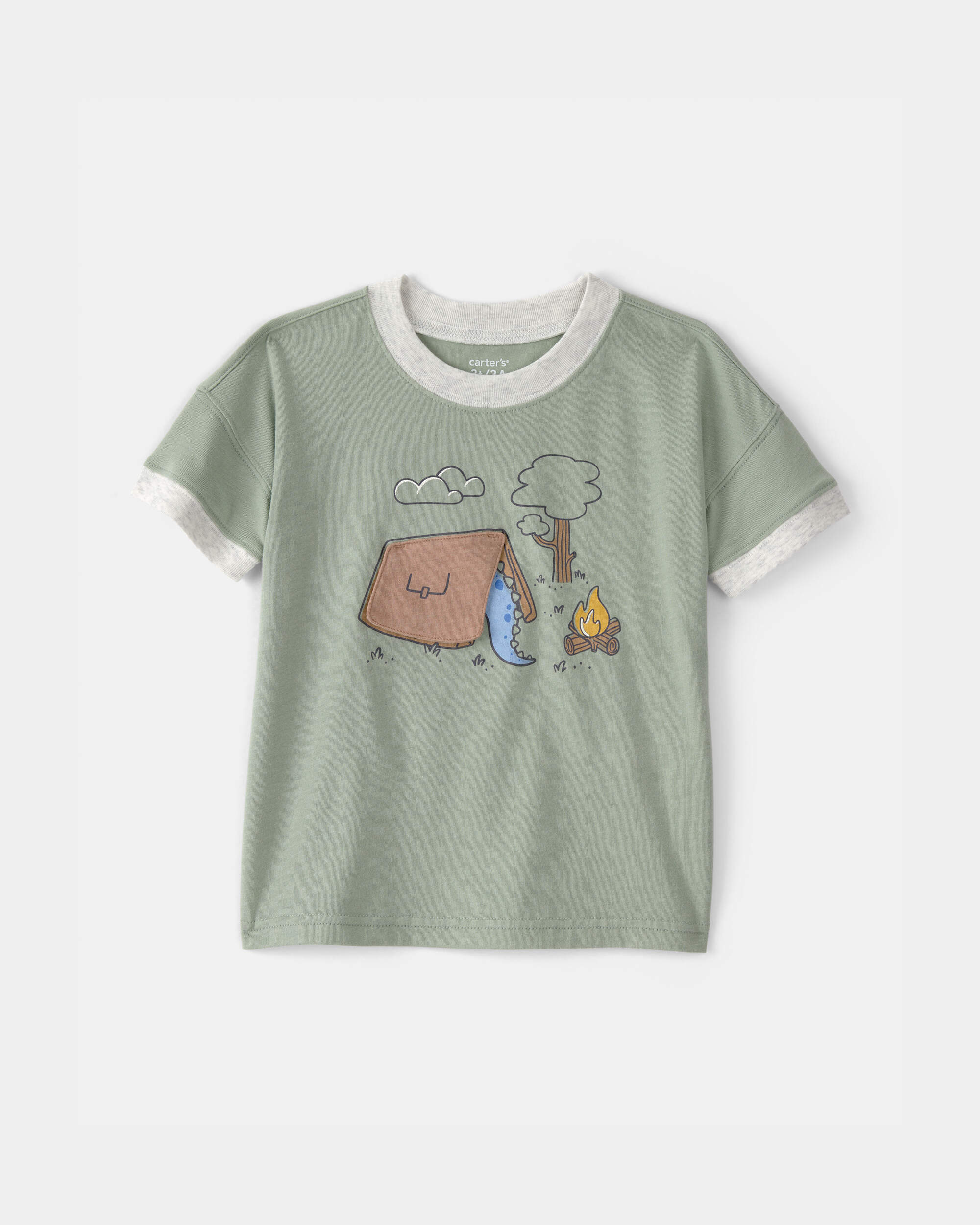 Toddler Boy Camping Dinosaur Graphic Tee - Green