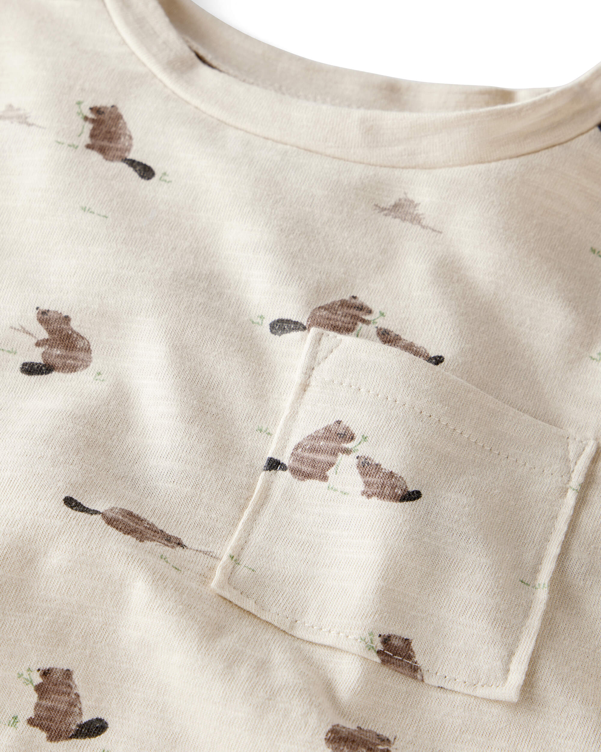 Toddler Boy 2-Pack Organic Cotton Tees Beavers' Creek Print