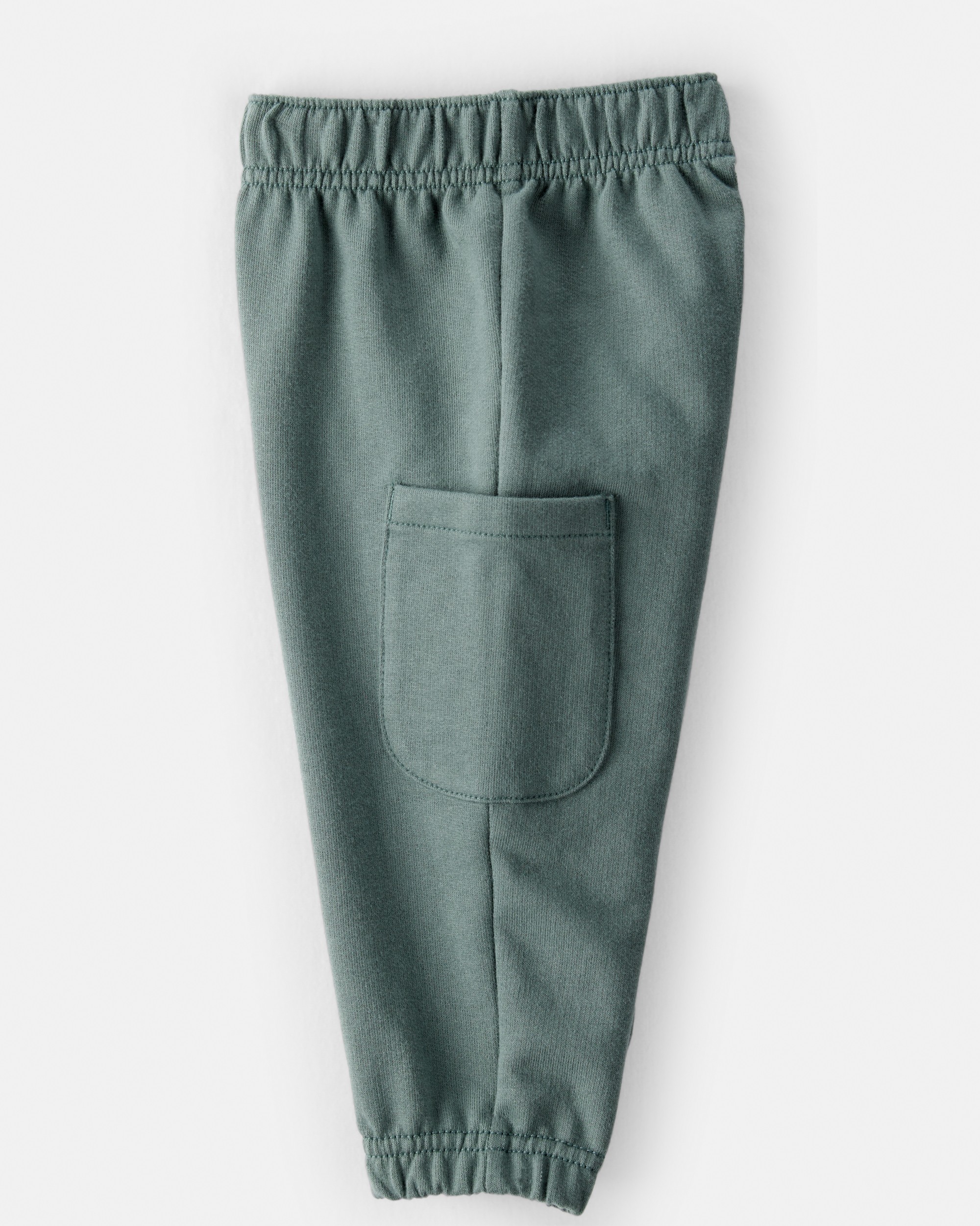 Baby Boy Dinosaur French Terry Long-Sleeve Tee & Pant Set- Green/Grey